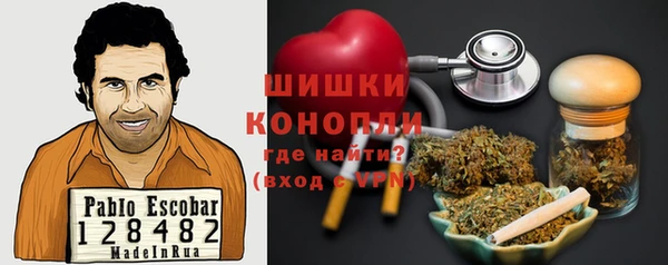 сатива Бронницы