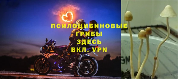 мдма Богородицк