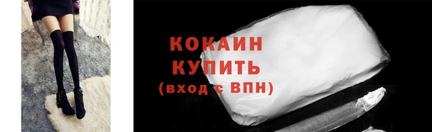 сатива Бронницы