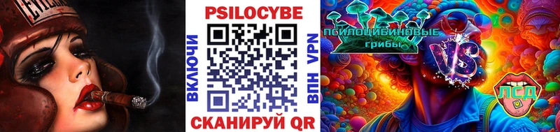 Псилоцибиновые грибы Cubensis  купить наркотик  Горнозаводск 